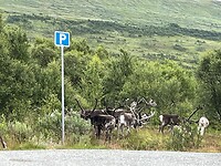 IMG_7059