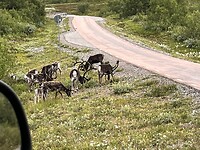 IMG_7068