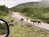 IMG_7069