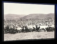 IMG_7228