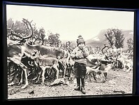 IMG_7229