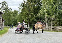IMG_7186