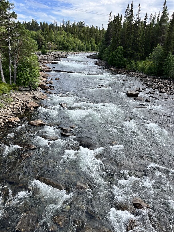 Terug, mooie rivier