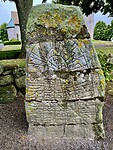 IMG_7348