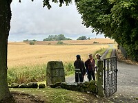 IMG_7349