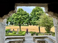 IMG_7359