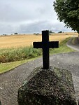 IMG_7365