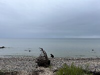 IMG_7398