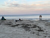 IMG_7470