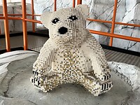 IMG_7798