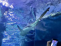 IMG_7842
