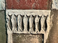 IMG_7839
