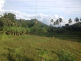 Uitzicht vanuit de trein naar Kandy