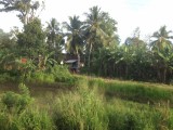 Uitzicht vanuit de trein naar Kandy