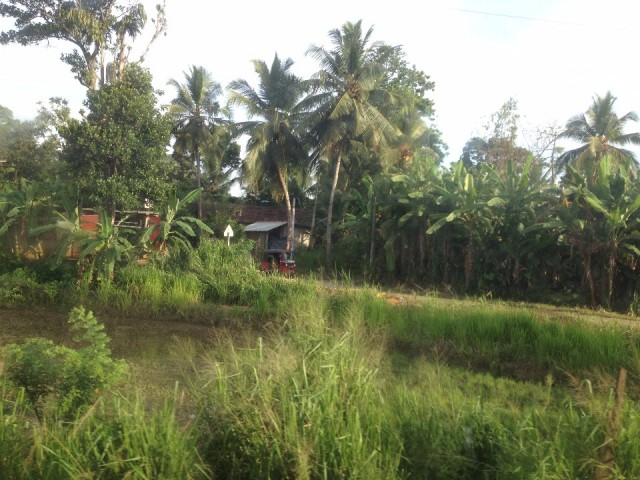 Uitzicht vanuit de trein naar Kandy