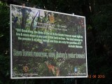 Royal Forest Park