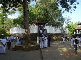 Rondom de Temple of the Tooth