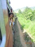 In de trein