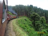 Trein naar Nuwara Eliya
