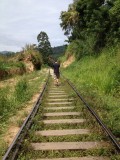 Wandelen over de rails