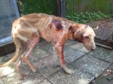 Kijk nou arme ziel