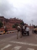 Voor het fort van Bikaner