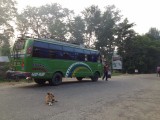 Nepalese bus