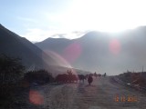 Morning yaks