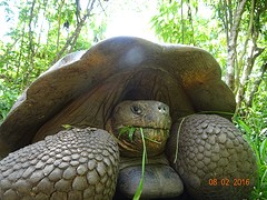 En we brachten een bezoekje aan de landschildpadden