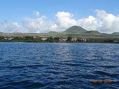 Floreana