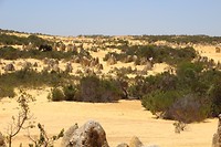 Pinnacles1