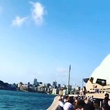 Hallo Sydney