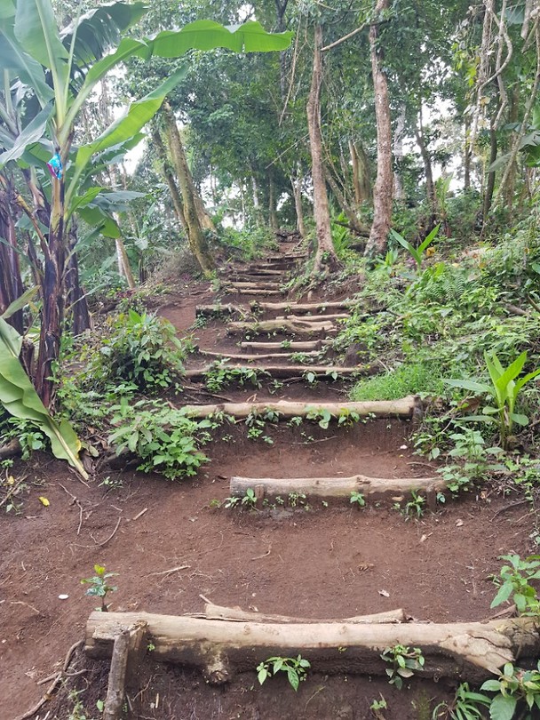 Route naar de waterval