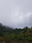 Rain is coming