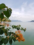 Lake Toba