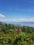 View over the lake