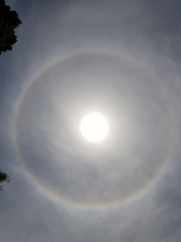 Halo