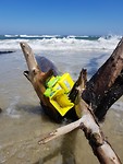 Lost items