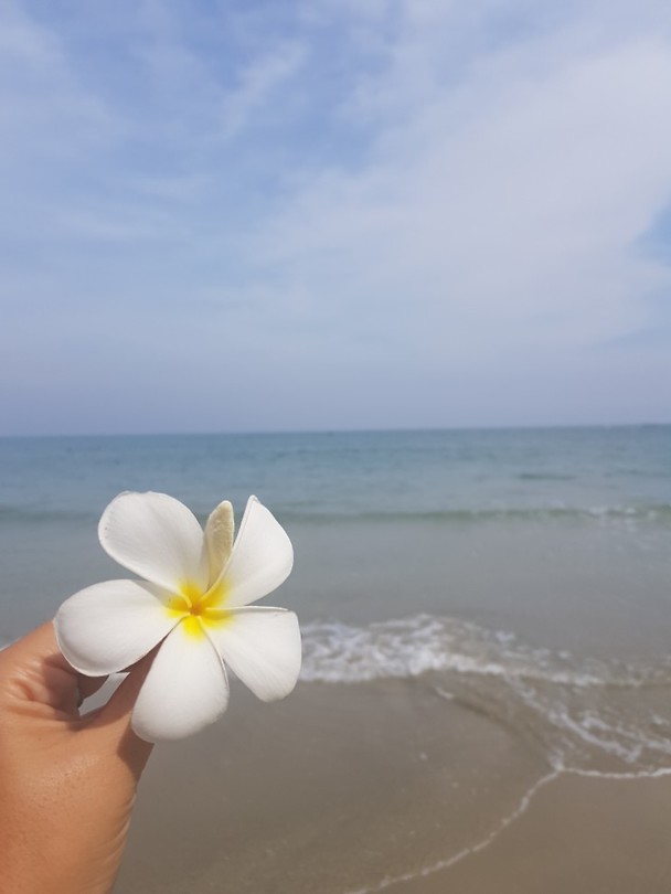 Bali flower