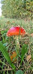 IMG-20221022-WA0023
