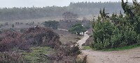 IMG-20230204-WA0080