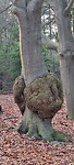 IMG-20230204-WA0084