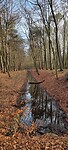 IMG-20230204-WA0085