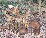 IMG-20230204-WA0088