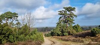 IMG-20230204-WA0028