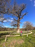 IMG-20230402-WA0018