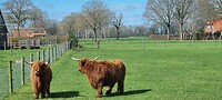 IMG-20230402-WA0094