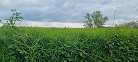 IMG-20230429-WA0025