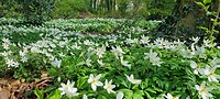IMG-20230429-WA0052