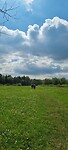 IMG-20230429-WA0037